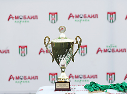 Любительская  команда «Динамо» стала победителем кубка «А-Мобаил» по мини-футболу  