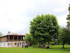 Венгерская делегация ученых-ботаников посетила Дом-Музей Баграта Шинкуба в селе Члоу Очамчирского района. 