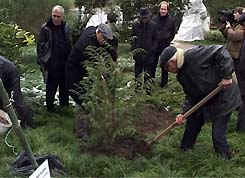 В ботаническом саду посажено дерево в память о Сергее Багапше.