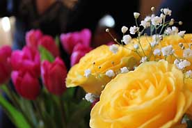 8 марта в акции по посадке цветов в Сухуме участвовали только мужчины 
